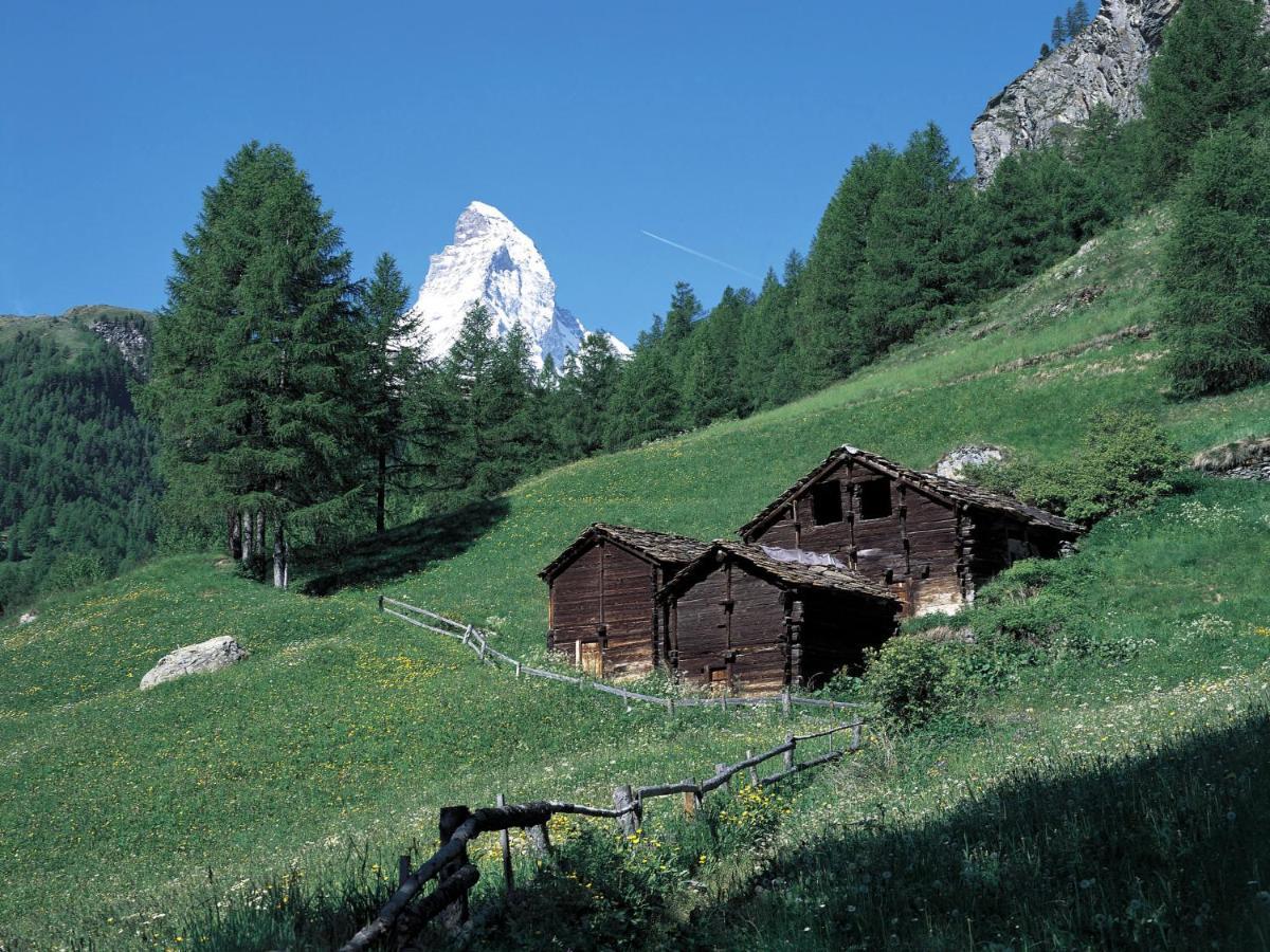 Apartment Beaulieu-2 By Interhome Zermatt Esterno foto